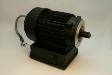 Electro motor 230 VAC 50 Hz  Luna