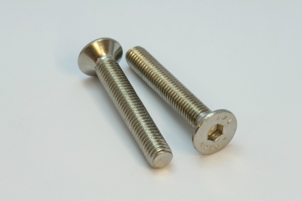 Schraube M8x50mm s/s